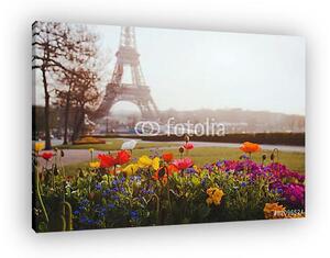 Párizs, virágok és Eiffel-torony (vászonkép)