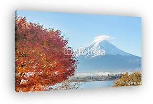 Mount fuji és vörös juharfa ősszel a kawaguchiko tó japa (vászonkép)