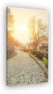 Régi utca napfényben, Buda vár közelében, Budapest Télen, Hu (vászonkép)