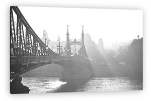 Szabadság-híd a ködben. Budapest, Magyarország. (vászonkép)