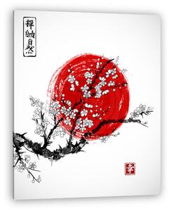 Sakura virágban és piros napben, a japán szimbólum fehér backgro (vászonkép)