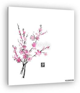Sakura virágban. A hagyományos japán festékfestés sumi-e. Con (vászonkép)