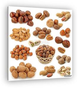 Nuts gyűjtemény elszigetelt fehér háttér (vászonkép)
