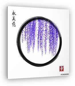 Wisteria fekete enso zen kör fehér alapon. Hieroglyp (vászonkép)