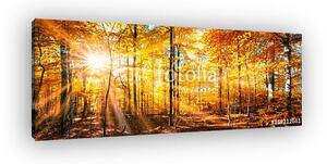 Erdei panoráma arany őszén (vászonkép)