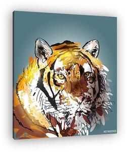 Színes vektoros illusztráció fej tigris (vászonkép)
