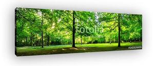 A zöld erdő táj nyári panorámaként (vászonkép)