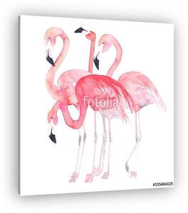 Flamingók csoportja (vászonkép)