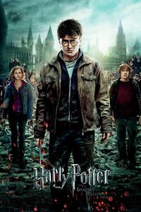 XXL poszter Harry Potter and the Deadly Hallows - trio, (80 x 120 cm)