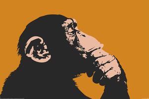 XXL poszter Monkey - Thinking, (120 x 80 cm)