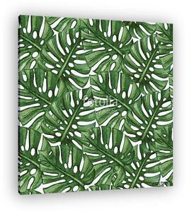 Sűrű monstera levelek tapétaminta (vászonkép)