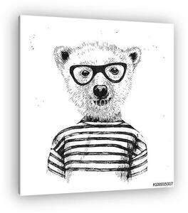 Kézzel rajzolt öltözött hipster medve illusztrációja (vászonkép)