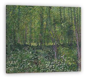 Vincent Van Gogh: Fák és aljnövényzet (vászonkép)
