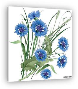 Bouquet bunch of blue cornflowers wildflowers with green leaves. (vászonkép)