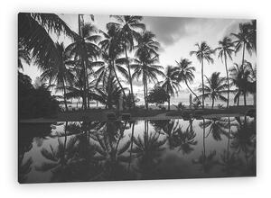 Silhouettes of palm trees on the shore. Black and white (vászonkép)