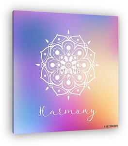 Vector illustration with mandala on colorful background (vászonkép)