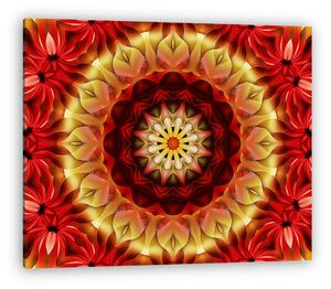 Floral mandala beautiful design (vászonkép)