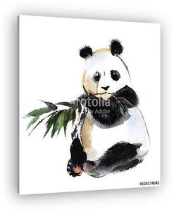 Panda with bamboo sprig isolated on a white background, watercol (vászonkép)