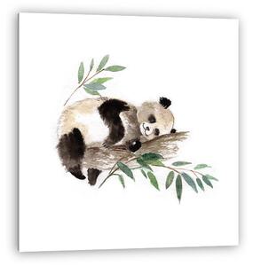 Alvós panda (vászonkép)