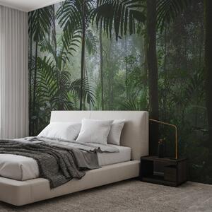 Fotótapéta Sűrű dzsungel ködös légkörrel, Modern fotótapéta, Modern fotótapéta, u72344 - Muralas.hu
