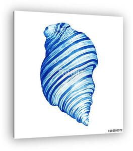 Illustrations of blue sea shells. Marine design. Hand drawn wate (vászonkép)