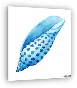 Illustrations of blue sea shells. Marine design. Hand drawn wate (vászonkép)