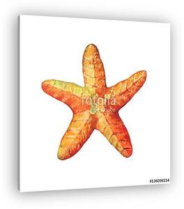Illustrations of starfish. Marine design. Hand drawn watercolor (vászonkép)