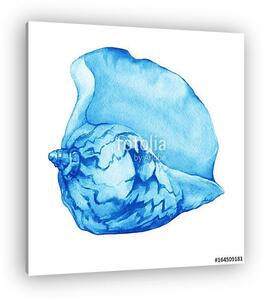 Illustrations of blue sea shells. Marine design. Hand drawn wate (vászonkép)