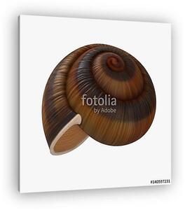 Snail Shell on white. 3D illustration (vászonkép)