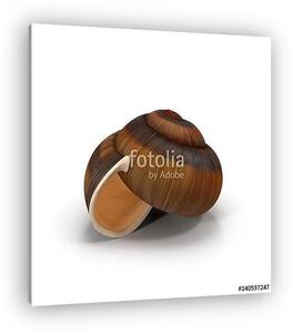 Snail Shell on white. 3D illustration (vászonkép)