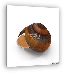 Spiral shell isolated on white. 3D illustration (vászonkép)