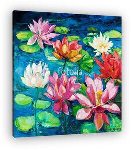 Water Lily (vászonkép)