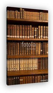 Livres dans une bibliothèque (vászonkép)