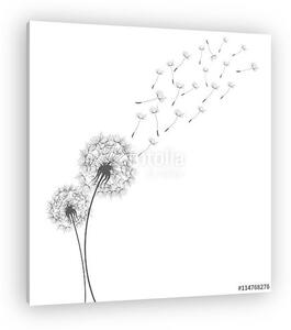 Dandelions (vászonkép)