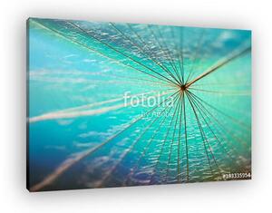 A dandelion seed close-up on a beautiful multi-colored turquoise (vászonkép)