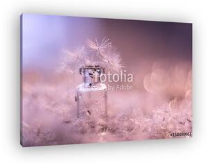 Macro of a dandelion with droplets of water. Dandelions in a sma (vászonkép)