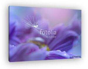 A dandelion seed with a drop of dew on a purple flower. Art work (vászonkép)