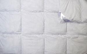 Billerbeck Lotte len paplan 135x200 cm