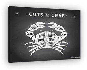 Cut of meat set. Poster Butcher diagram and scheme - Crab (vászonkép)