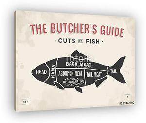 Cut of meat set. Poster Butcher diagram and scheme - Fish. Vinta (vászonkép)