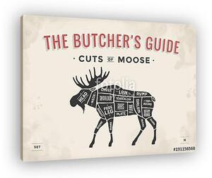 Cut of meat set. Poster Butcher diagram, scheme - Moose. Vintage (vászonkép)