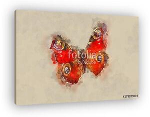 Watercolor Butterfly. (vászonkép)