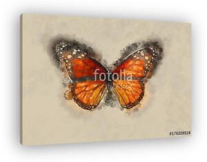 Watercolor Butterfly. (vászonkép)