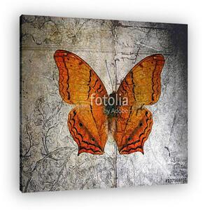 Butterfly (vászonkép)