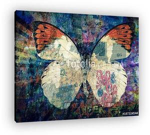 Grunge Butterfly background texture (vászonkép)