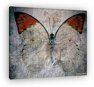 Butterfly (vászonkép)