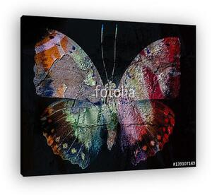 Grunge butterfly (vászonkép)