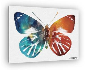 Watercolor Space Butterfly Art, Space Texture, Print Ready, Post (vászonkép)