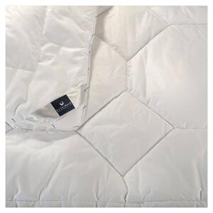 Billerbeck Chantal Light paplan 135x200 cm