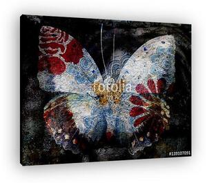 Grunge butterfly (vászonkép)